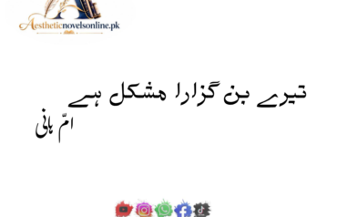 Tere Bin Guzara Mushkil Hai by Umme Hani